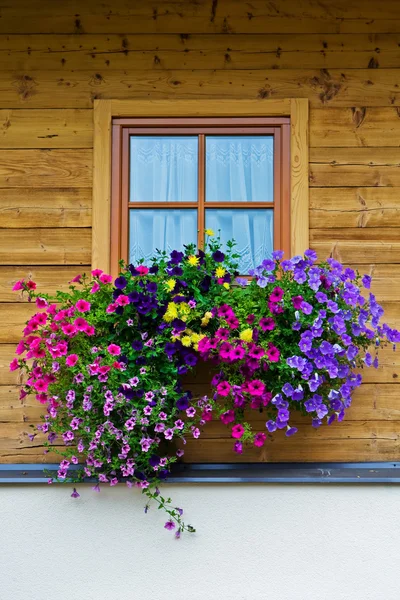 Ornamenti floreali tipici in Austria — Foto Stock