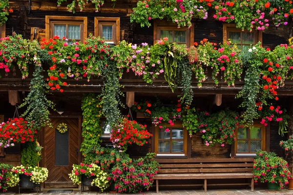 Ornements floraux typiques en Autriche — Photo