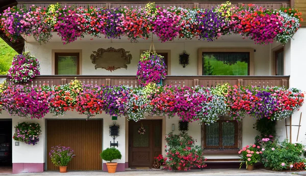 Ornements floraux typiques en Autriche — Photo