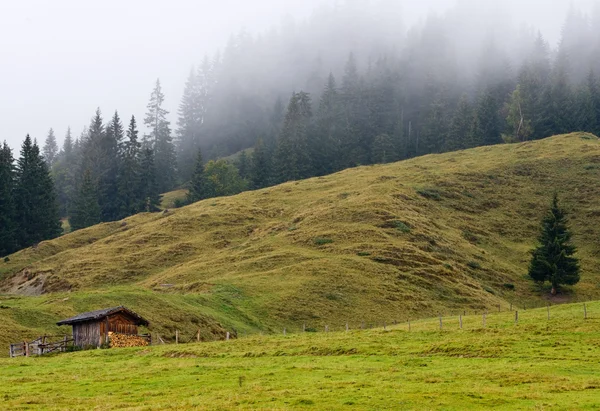 Landskap under dimman i Österrike — Stockfoto