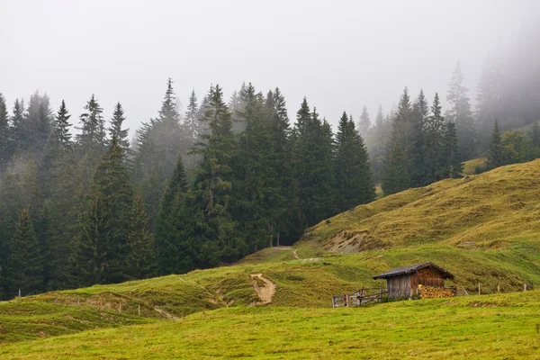 Landscape under the fog in Austria — Stock Photo, Image
