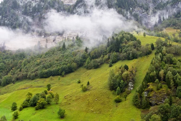 Krajina v mlze, v Rakousku — Stock fotografie