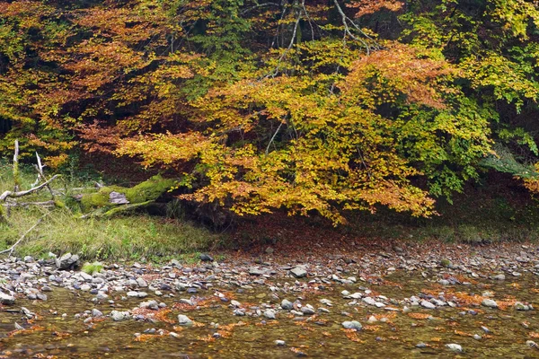 Rio da montanha no outono — Fotografia de Stock