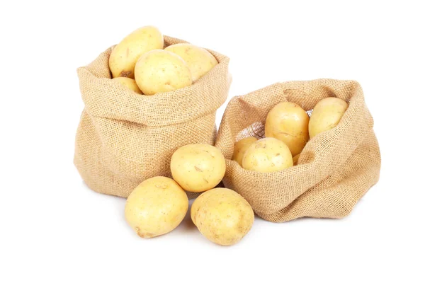 Deux sacs en toile de jute avec pommes de terre — Photo
