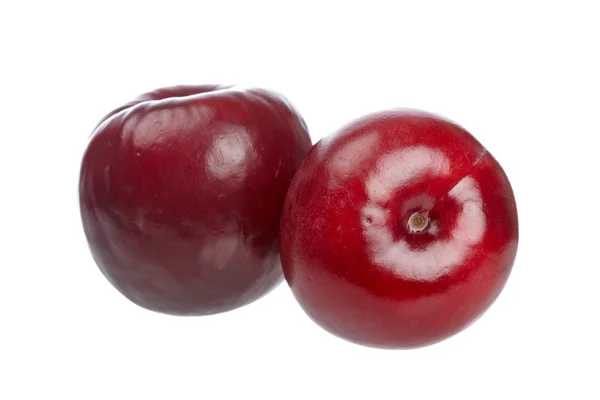 Two fresh plums — Stock Photo, Image