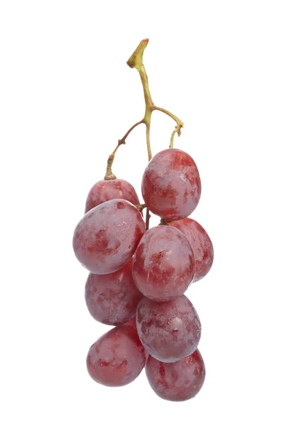 Grape cluster — Stock Photo, Image