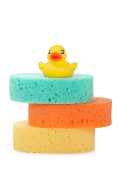 Três esponjas e pato de borracha — Fotografia de Stock