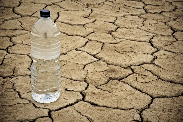 Бутылка воды на сухой земле — стоковое фото