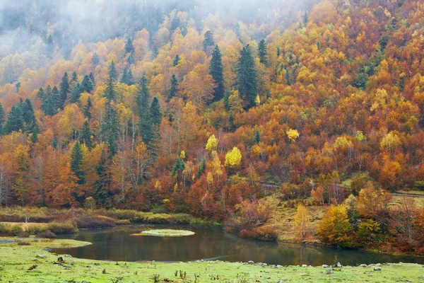 Sonbaharda dağ nehri — Stok fotoğraf