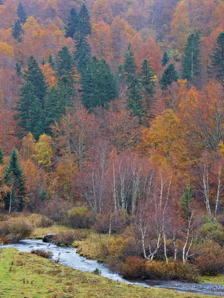 Horská řeka na podzim — Stock fotografie