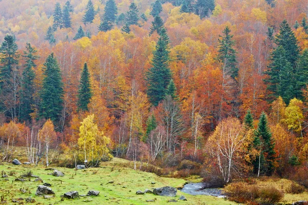 Bergrivier in de herfst — Stockfoto