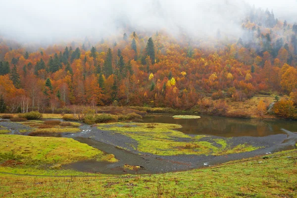 Гірська річка восени — стокове фото