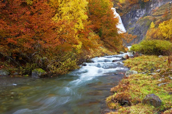 Autumn brook — Stock Photo, Image