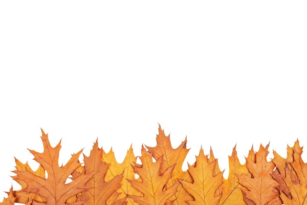 Höstens gränsen — Stockfoto
