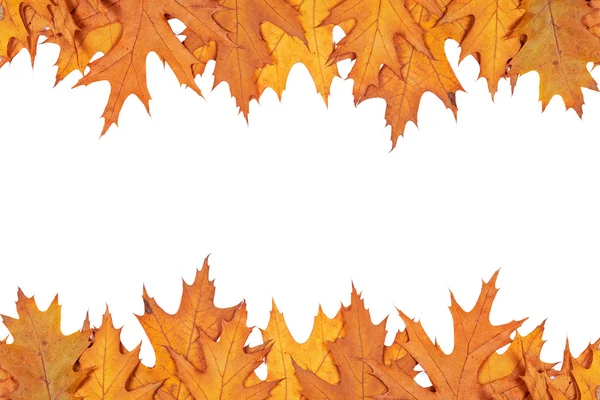 Autumn border — Stock Photo, Image