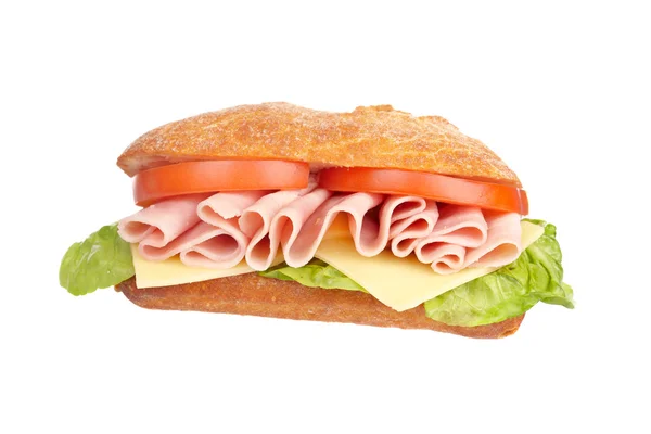 Delicious sandwich — Stock Photo, Image