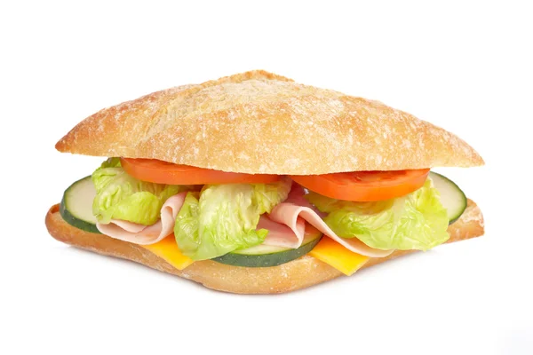 Delizioso sandwich — Foto Stock