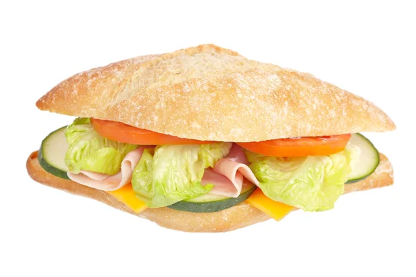 Délicieux sandwich — Photo