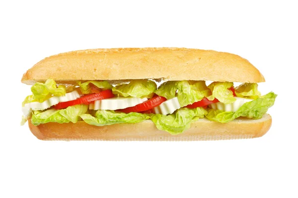 바게트 샌드위치 — 스톡 사진