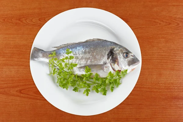 Fresh fish — Stock Photo, Image