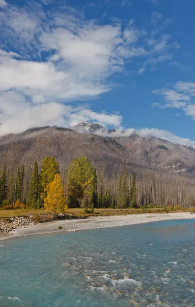Vermillion rivier, canada — Stockfoto
