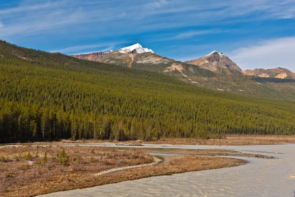 Fiume Athabasca — Foto Stock