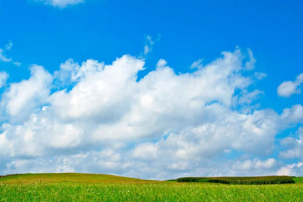 Zelené pole, modré nebe a bílé mraky — Stock fotografie