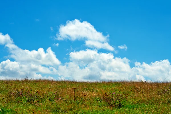 Campo verde, céu azul e nuvens brancas — Fotografia de Stock