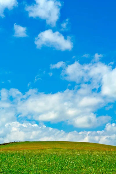 Зеленое поле, голубое небо и белые облака — стоковое фото