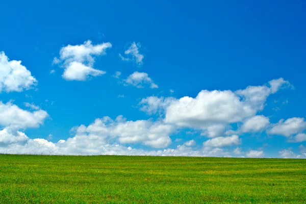 Зелене поле, блакитне небо і білі хмари — стокове фото