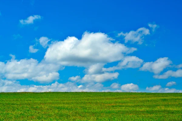 Grönt fält, blå himmel och vita moln — Stockfoto