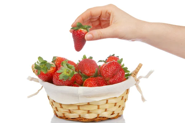Tar en jordgubbe av korgen — Stockfoto