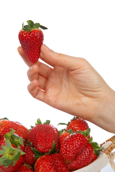 Holding a fresh juicy strawberry — Stock Photo, Image