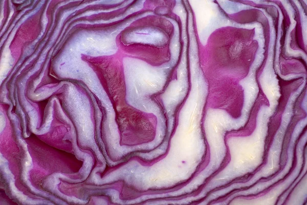 Red cabbage background — Stock Photo, Image