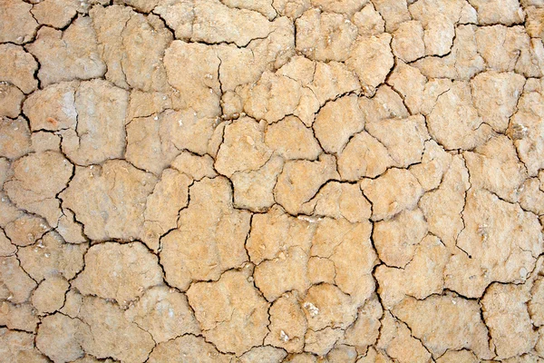 Parched earth — Stock Photo, Image