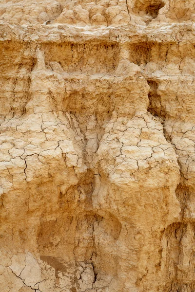 Terra incrinata nel deserto — Foto Stock