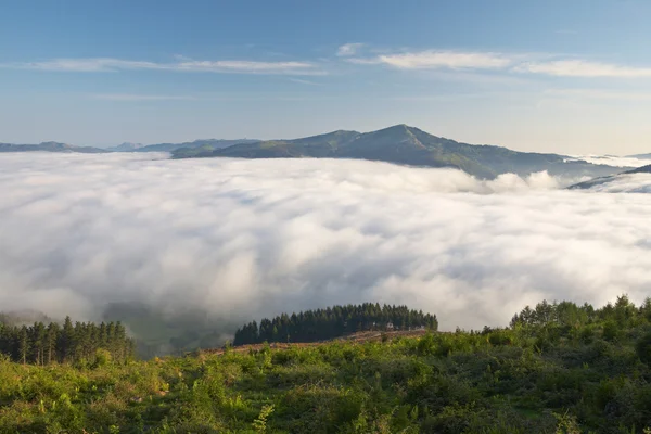 Berge über dem Nebel — Stockfoto