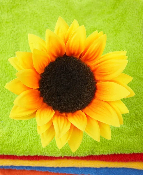 Blume auf bunten Handtüchern — Stockfoto
