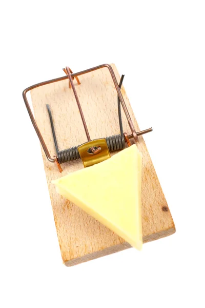 치즈와 쥐 덫 — 스톡 사진