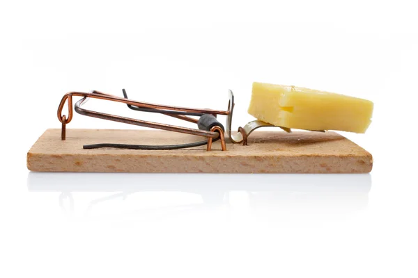 Peynir fare kapanı — Stok fotoğraf