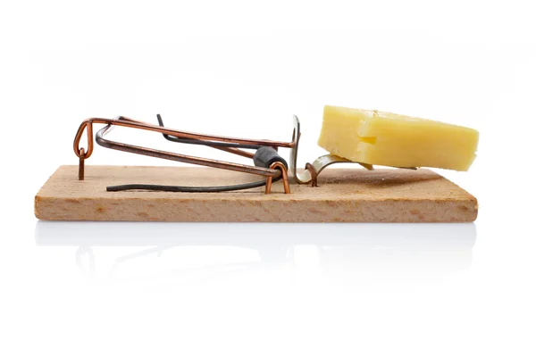 stock image Mousetrap with cheese