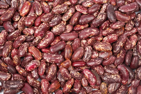 Pozadí syrové fazole — Stock fotografie