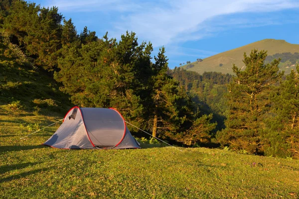 stock image Tent in the green meadow