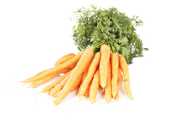 Свежая морковь Стоковое Фото