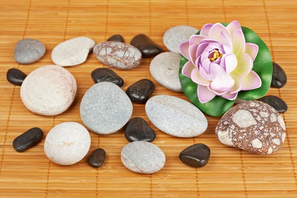 石头和鲜花 免版税图库图片
