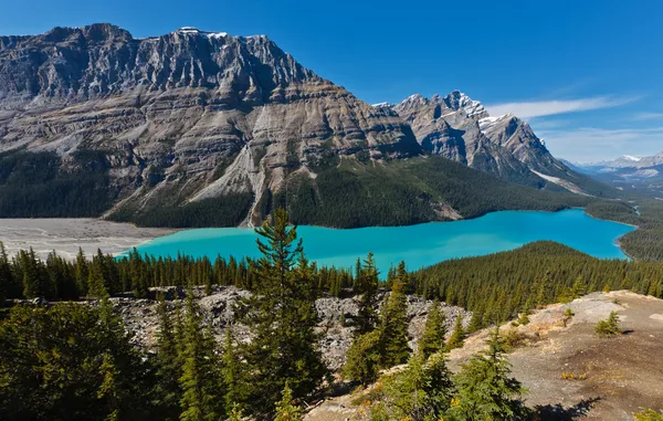 Λίμνη Peyto, Εθνικό Πάρκο Banff, Καναδάς Royalty Free Εικόνες Αρχείου