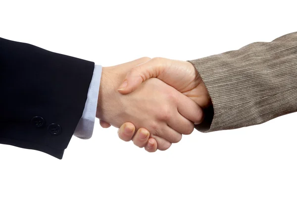 Business handshake Stock Image