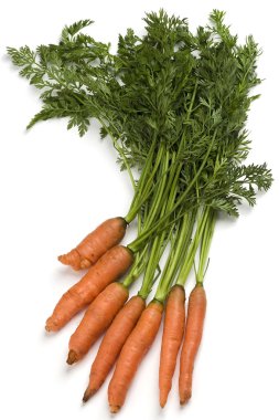 Bunch of fresh organic carrots clipart