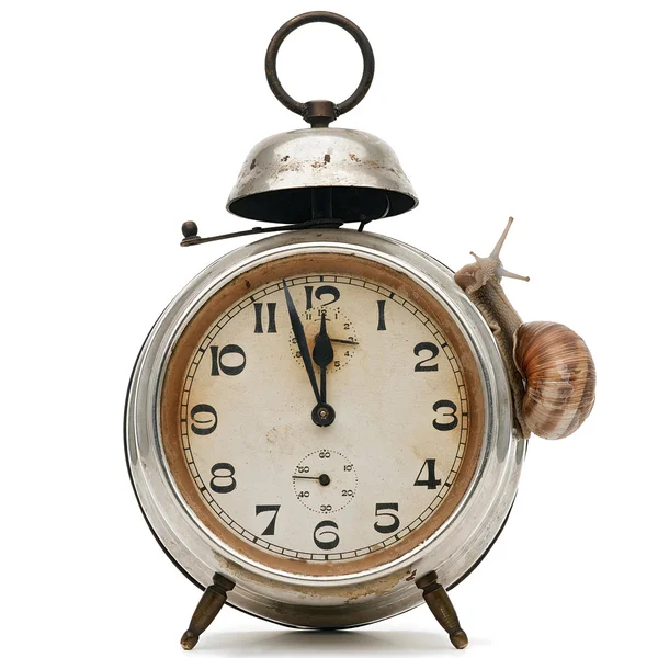 Reloj despertador y un caracol — Foto de Stock