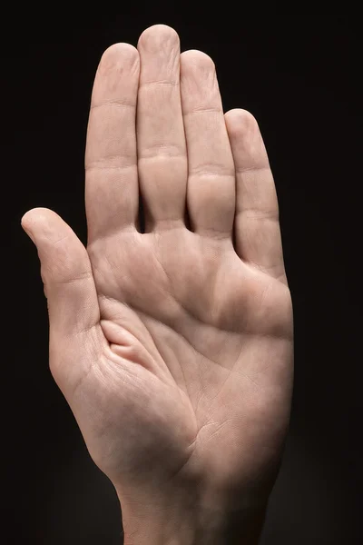 Lidská dlaň — Stock fotografie